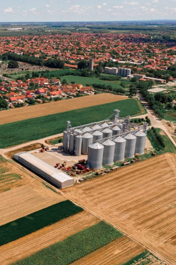 content creation for cultivators
