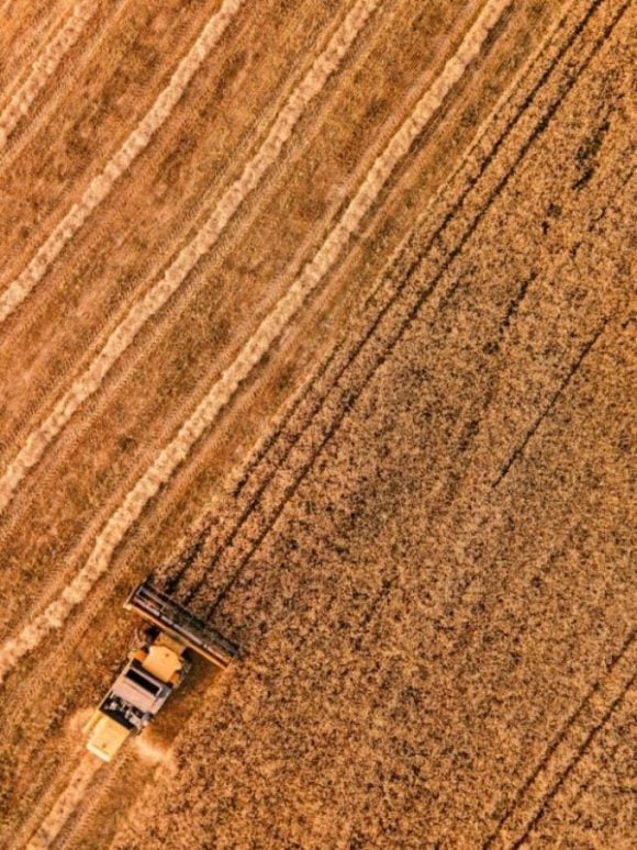 agriculture business marketing web development