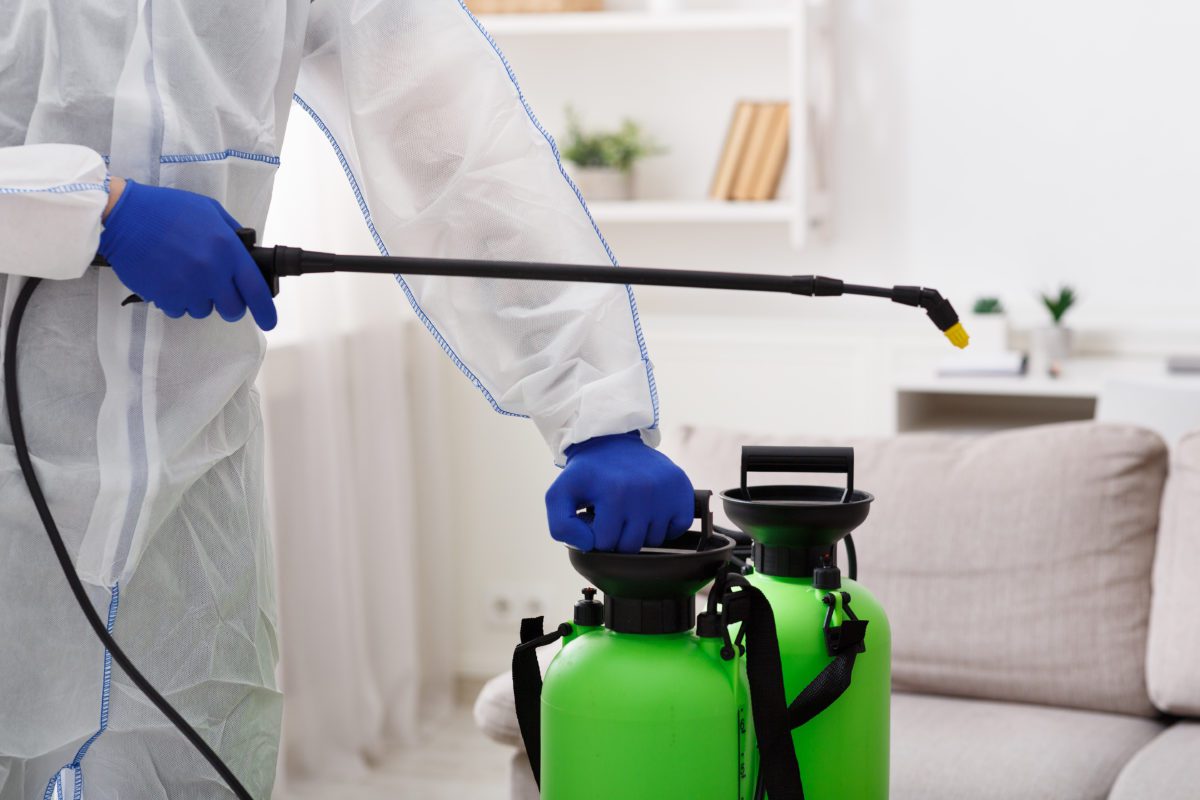 content creation for exterminator business