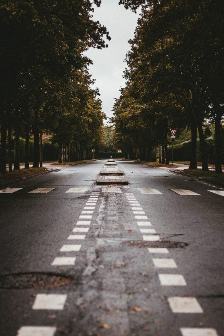 transportation systems marketing