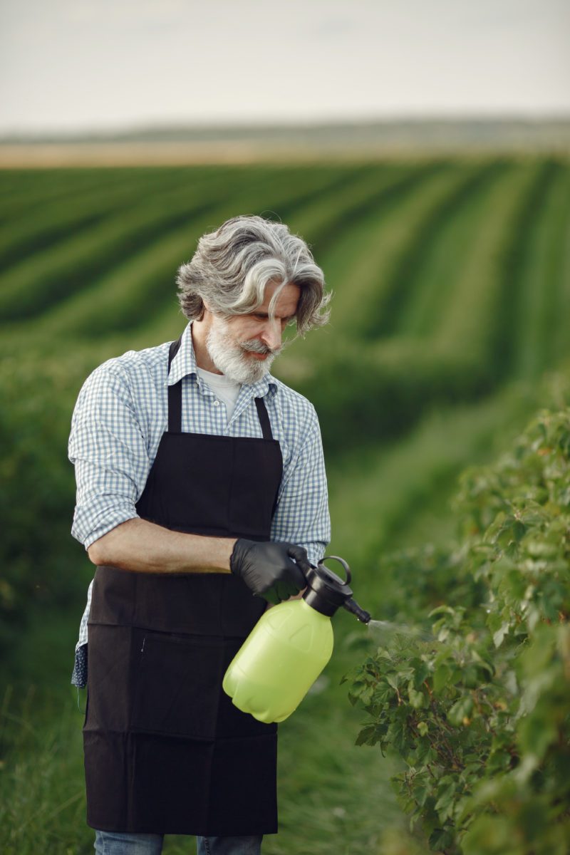 pest control digital marketing
