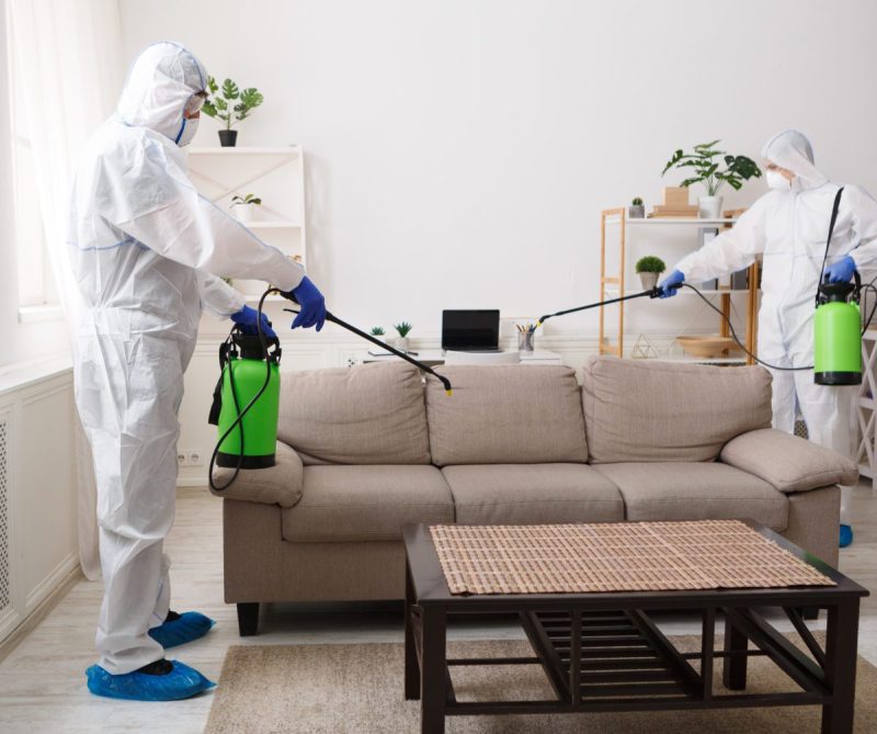 pest control marketing