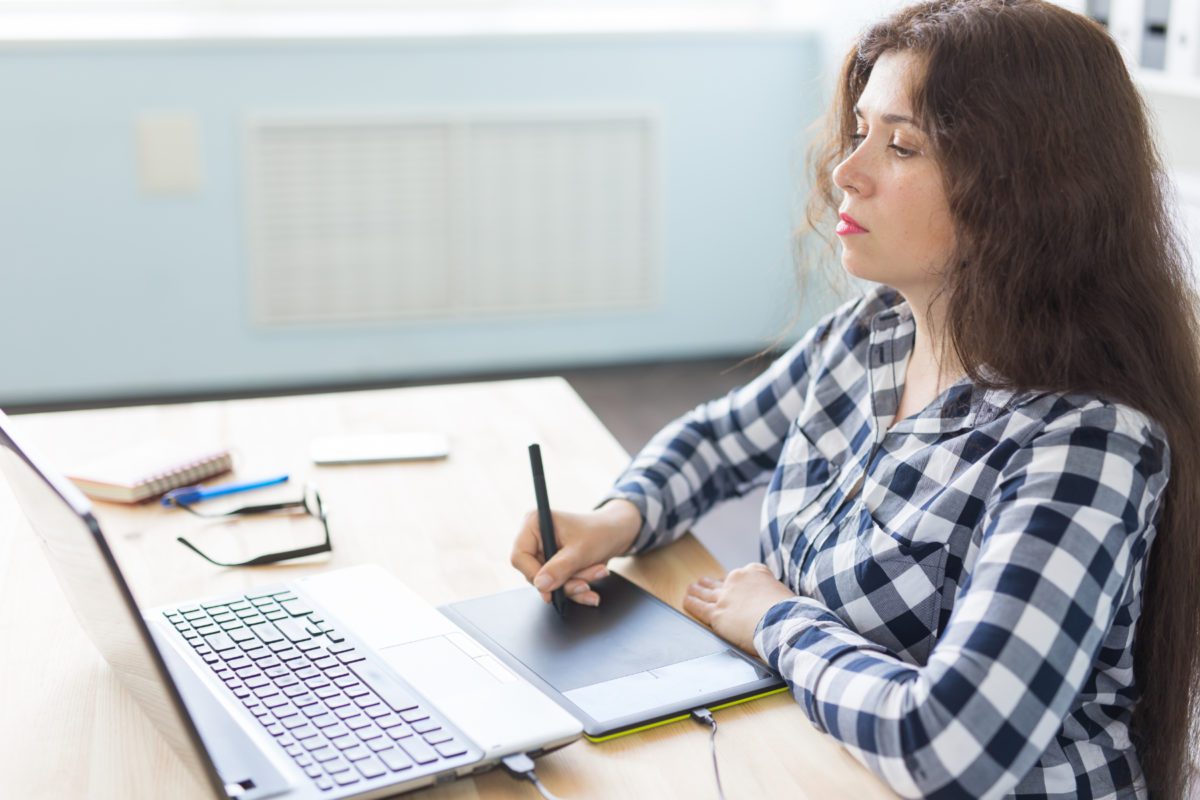 wordpress for beginners
