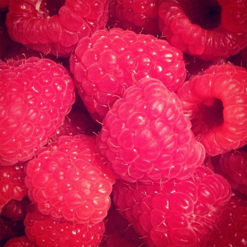 photo filter instagram