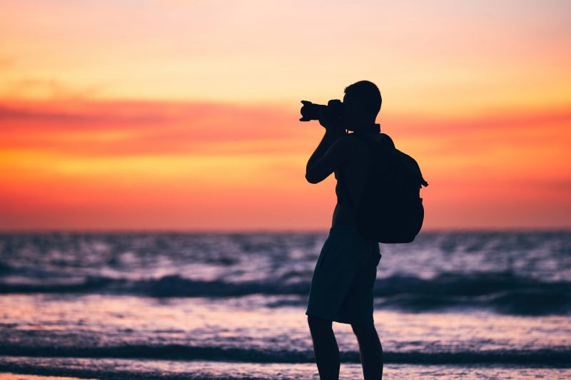 royalty free stock photos