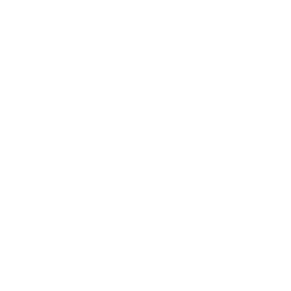shopify web development