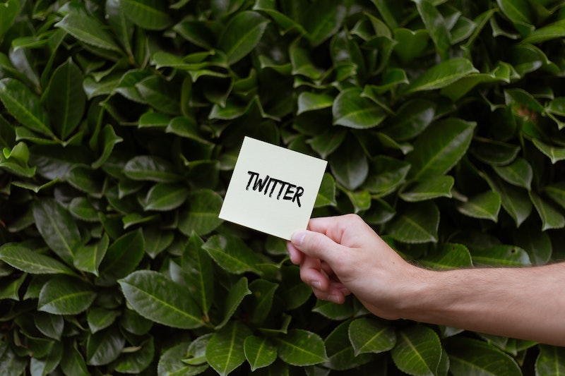 twitter advanced search
