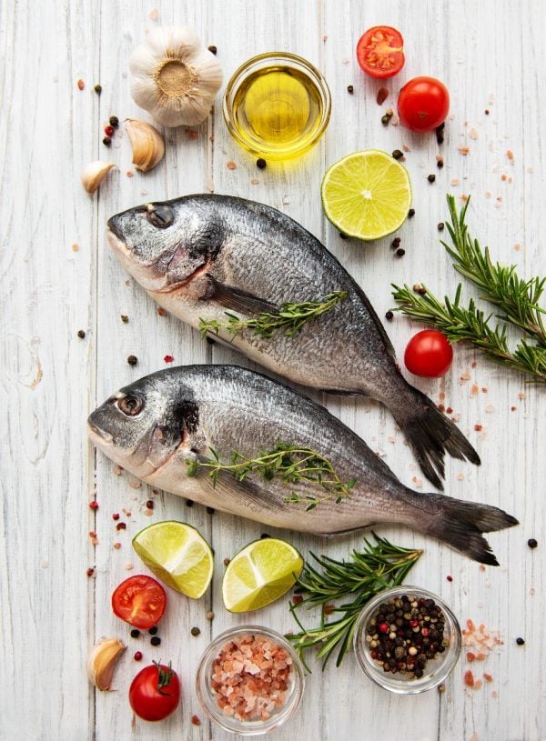 websites for the fishing industry