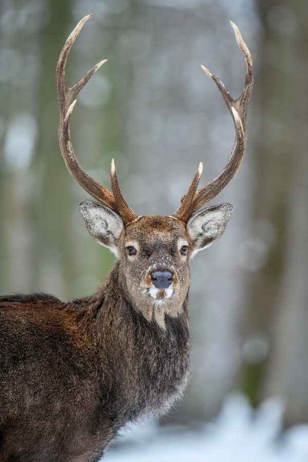 best hunting digital marketing agency