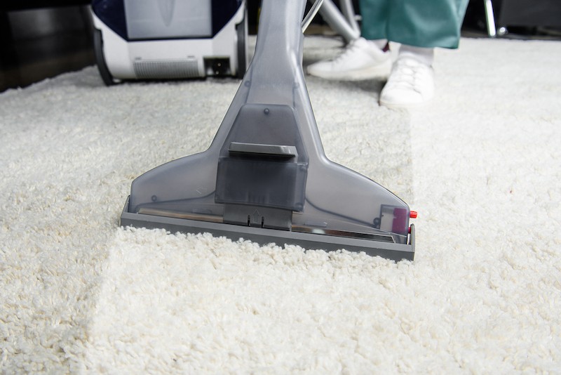 carpet cleaner blog