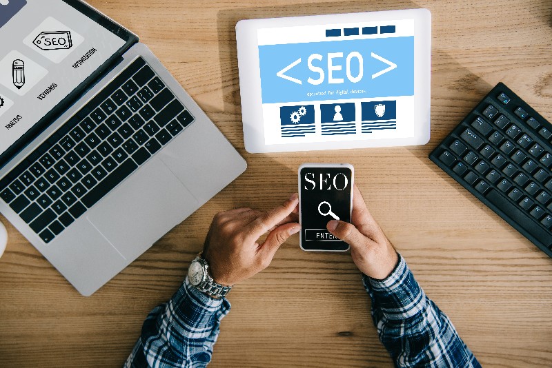 seo career