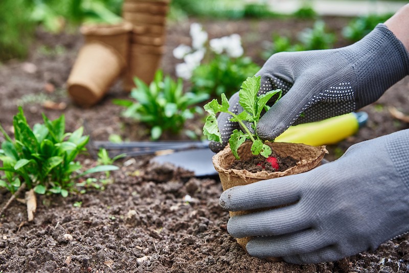 local seo for lawn and garden