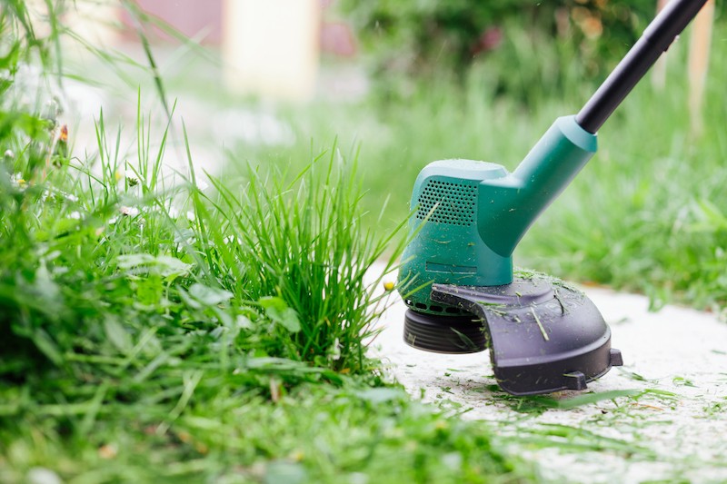 lawn care seo