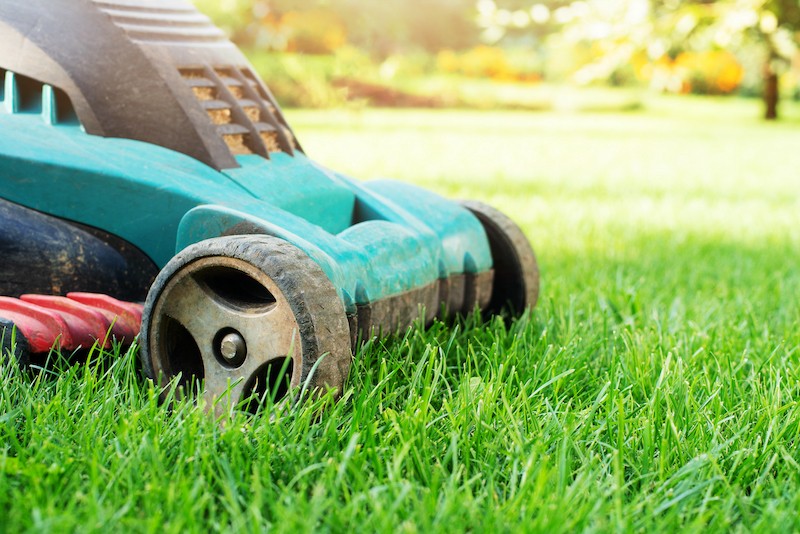 landscaping blog