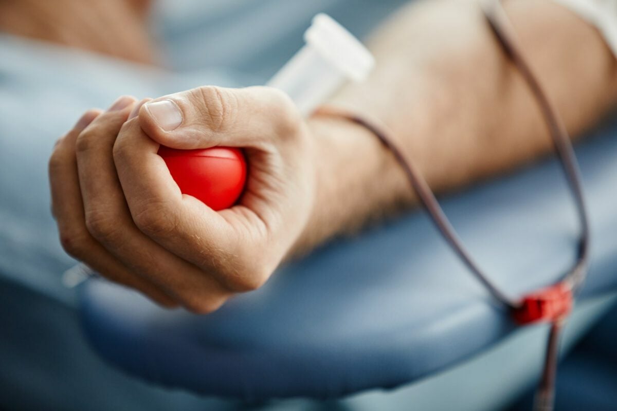 website creation for blood and plasma centers