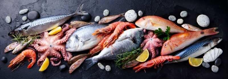 digital marketing for seafood markets