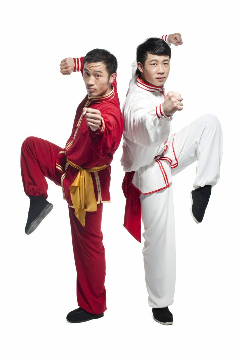 search engine optimization for chinese martial arts school