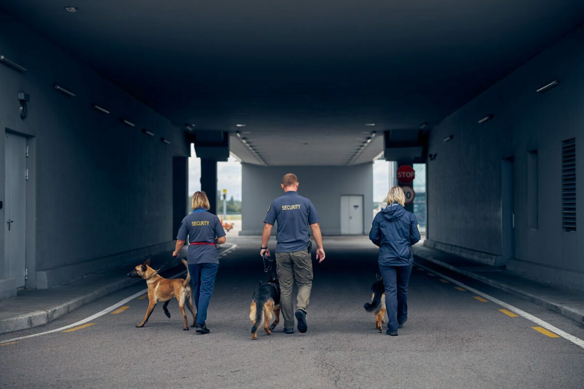 social media content for security guards