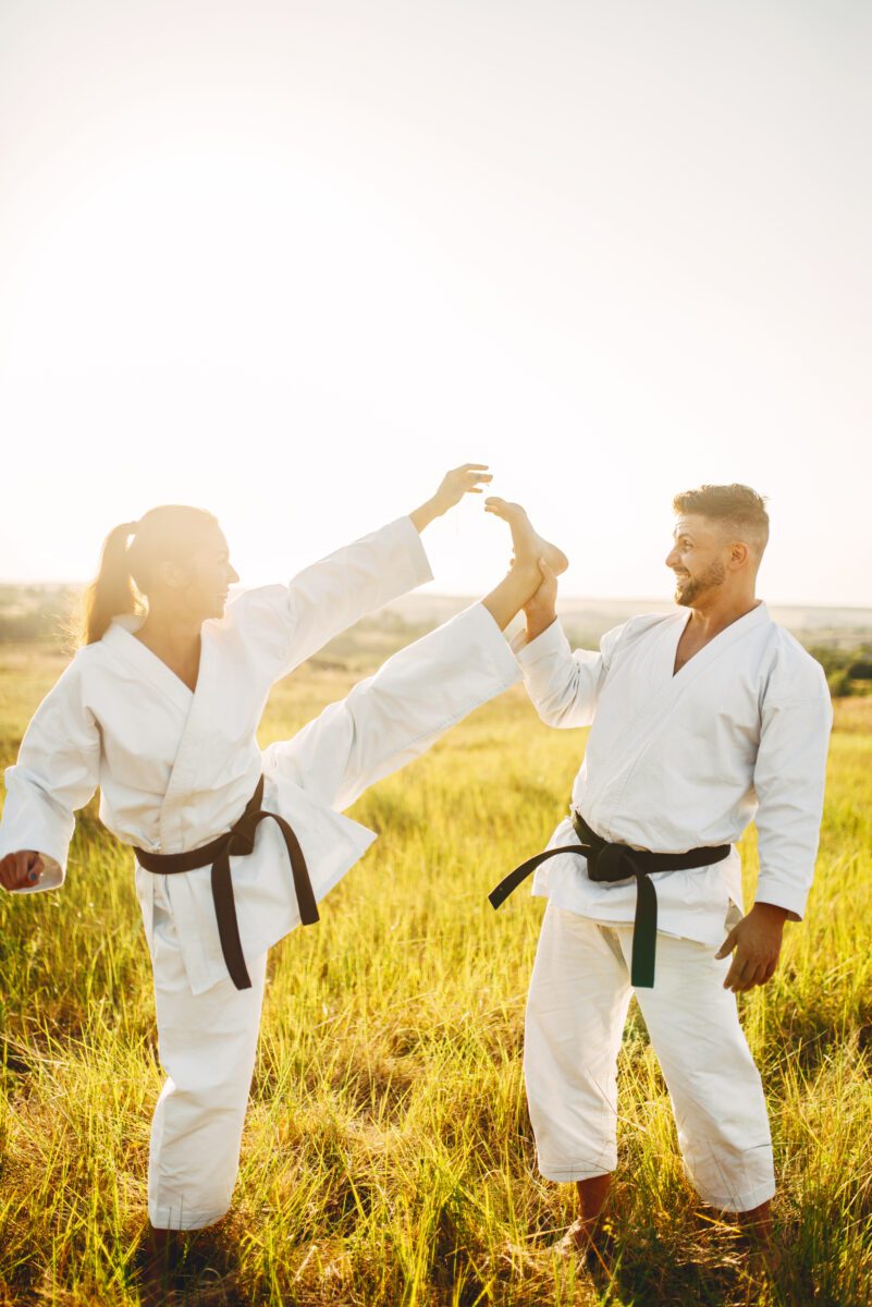 website creation for taekwondo masters