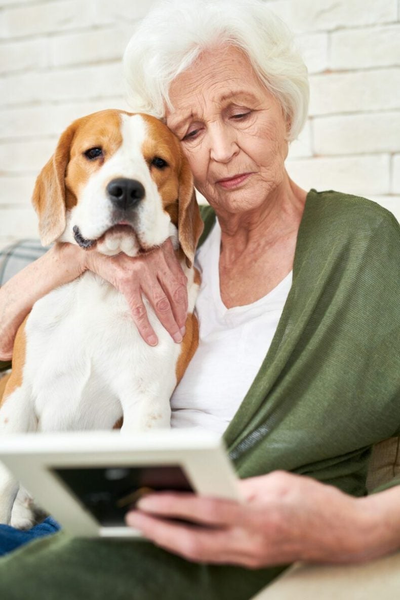 local seo for pet mortician