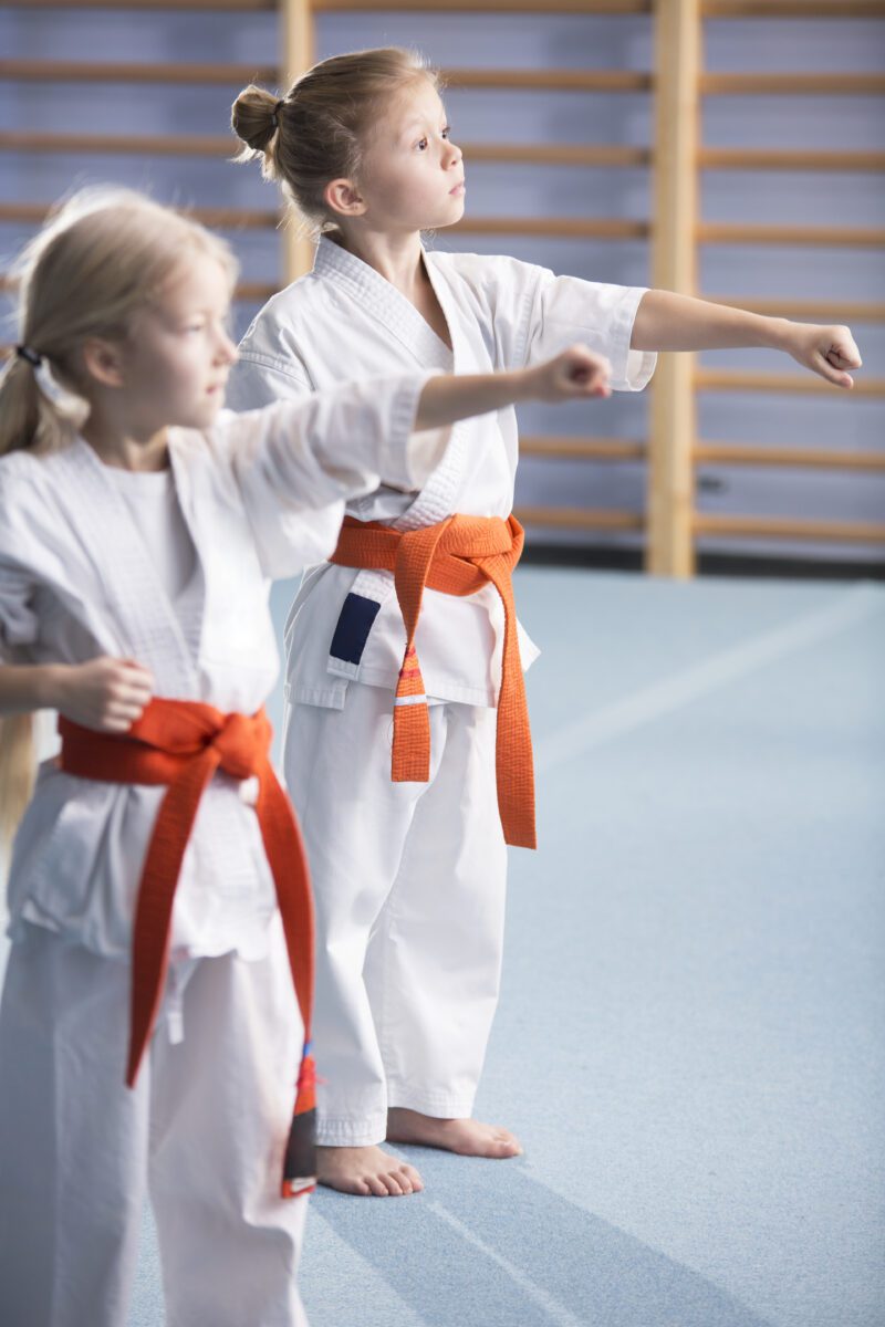seo for karate schools