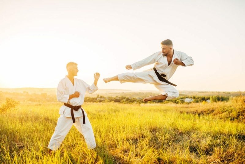 website hosting for karate senseis