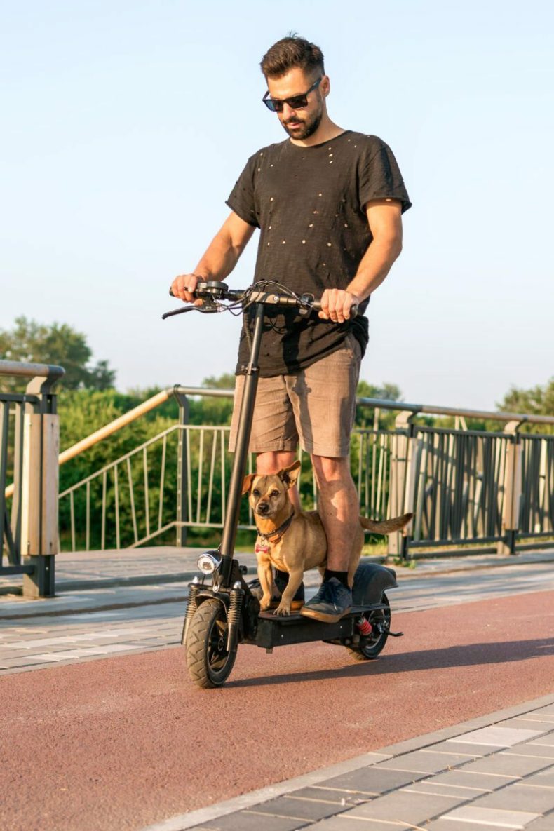 website hosting for pet transport associates