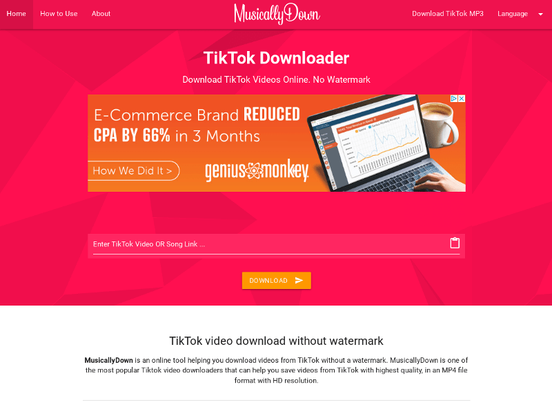 websites to remove tiktok watermark