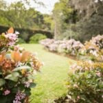 flowers in the garden
