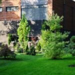 modern wooden cottage house