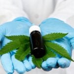 oil and cannabis leaf in doctors hands