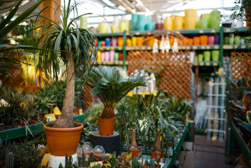 flowers in pots and tools shop for floristry