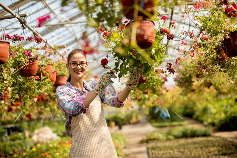 woman working with spring flowers