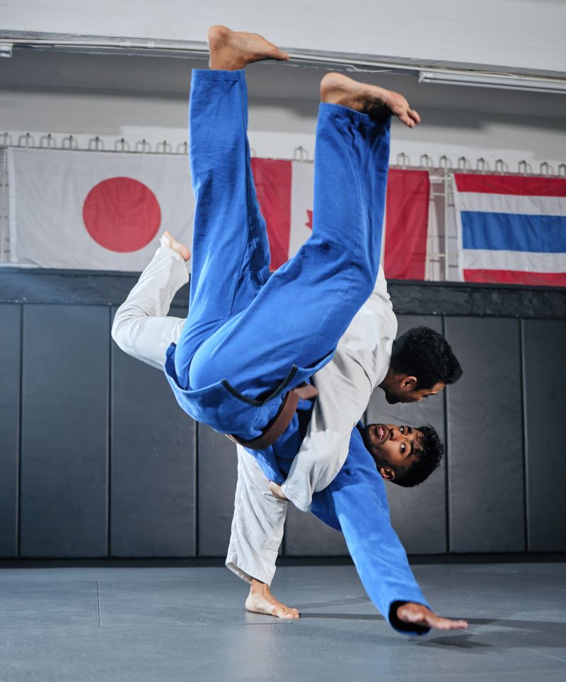 Jiu Jitsu fight