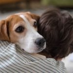 boy and his beagle