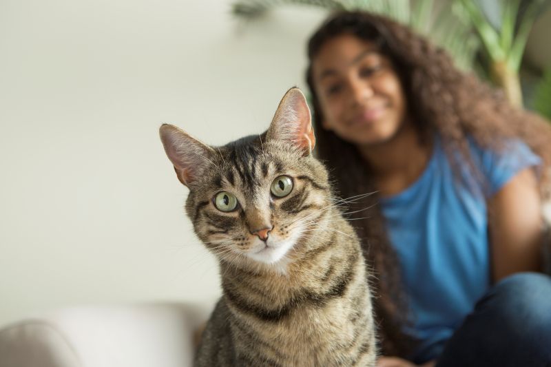 a girl sitting on a sofa with a pet cat
