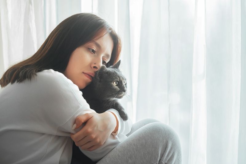 young beautiful girl with a cat